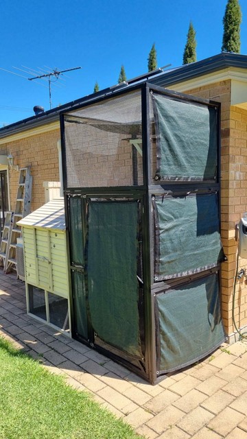 cat enclosure gumtree